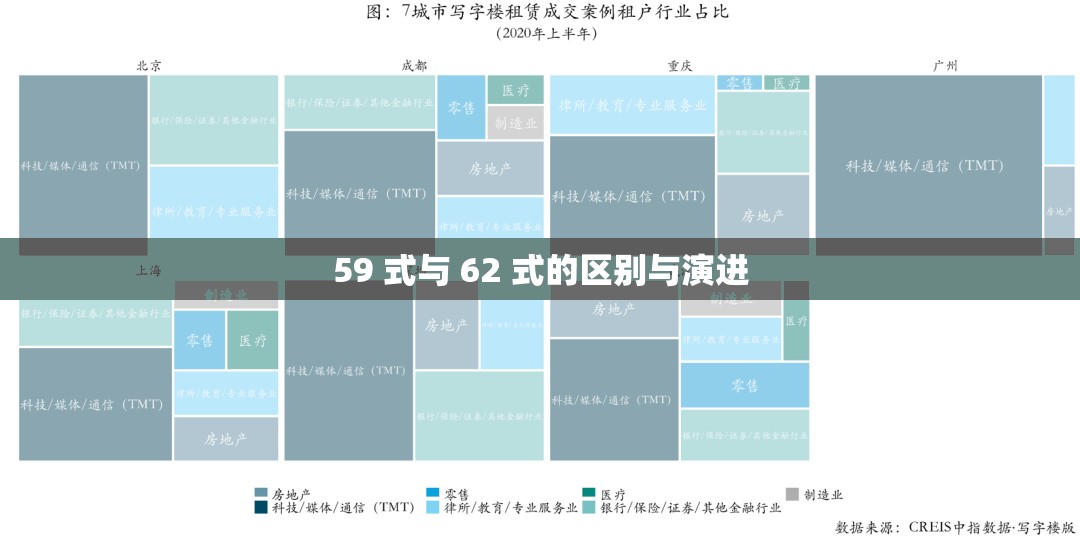 59 式与 62 式的区别与演进