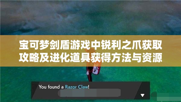 宝可梦剑盾游戏中锐利之爪获取攻略及进化道具获得方法与资源管理技巧