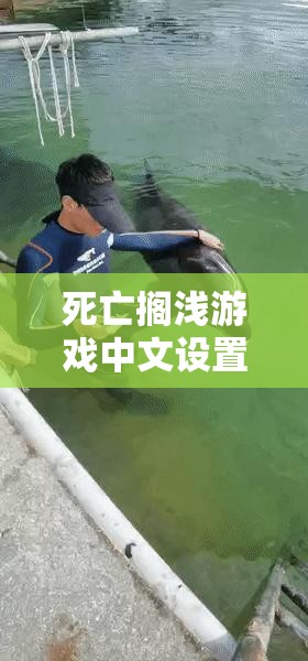 死亡搁浅游戏中文设置及语言更改指南，详解资源管理技巧与价值最大化策略