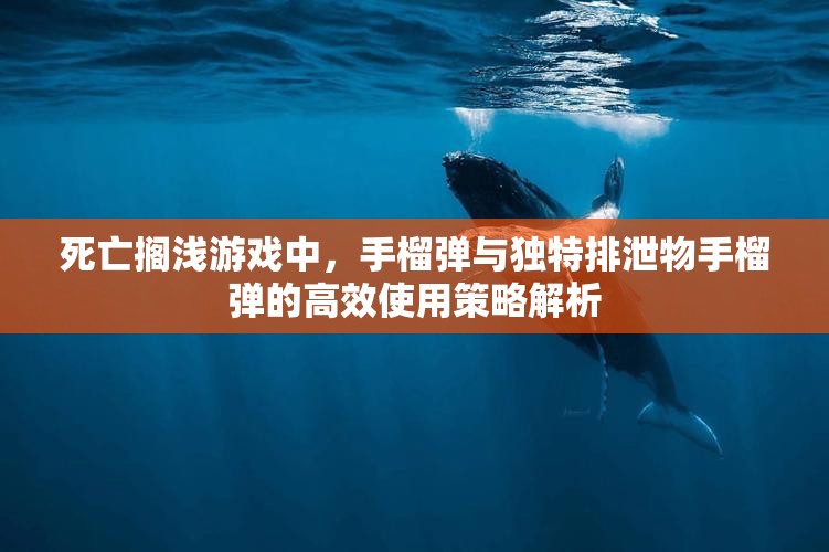 死亡搁浅游戏中，手榴弹与独特排泄物手榴弹的高效使用策略解析