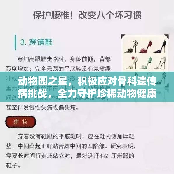 动物园之星，积极应对骨科遗传病挑战，全力守护珍稀动物健康福祉