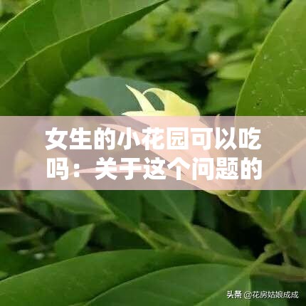 女生的小花园可以吃吗：关于这个问题的深入探讨与分析