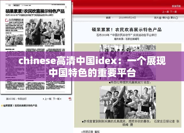 chinese高清中国idex：一个展现中国特色的重要平台