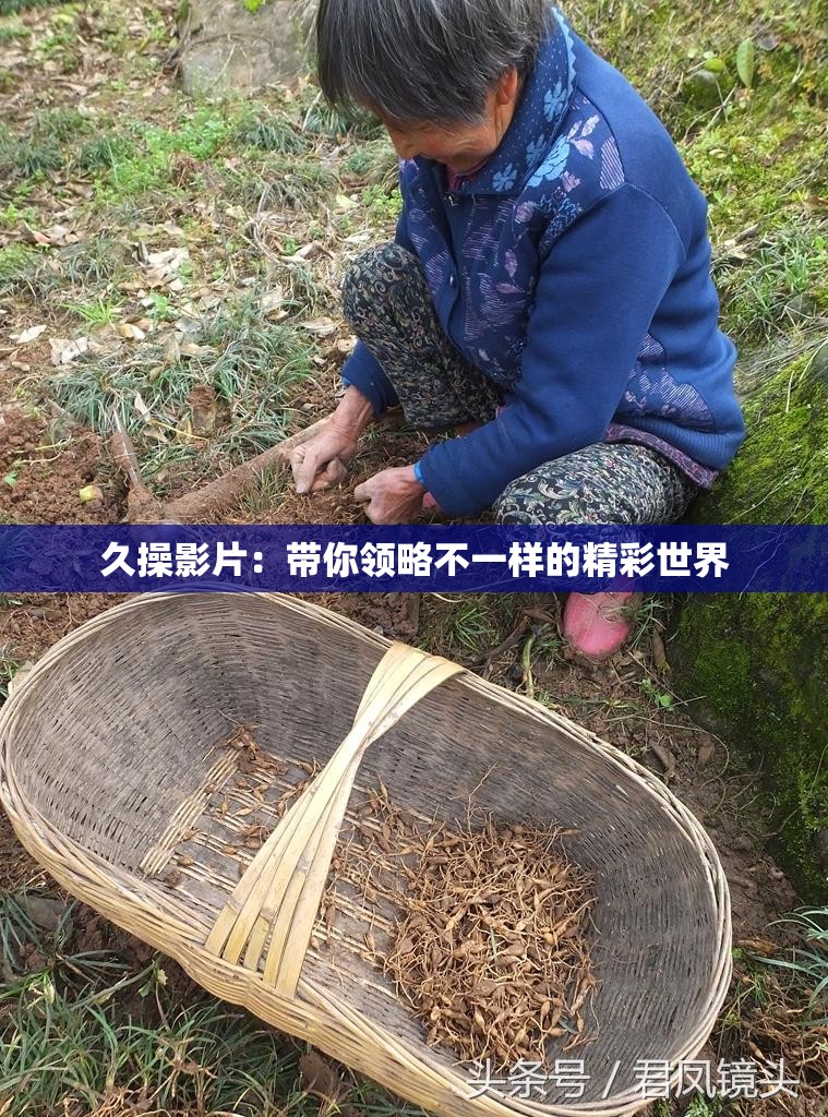 久操影片：带你领略不一样的精彩世界