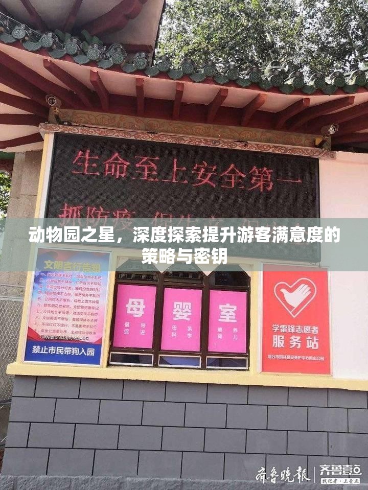 动物园之星，深度探索提升游客满意度的策略与密钥