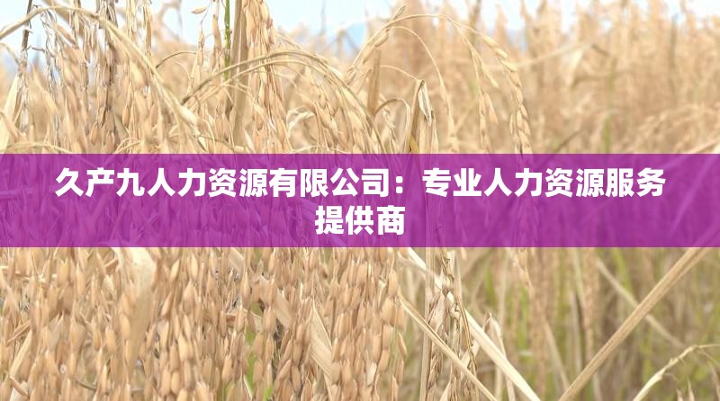 久产九人力资源有限公司：专业人力资源服务提供商