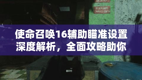 使命召唤16辅助瞄准设置深度解析，全面攻略助你轻松提升射击精准度