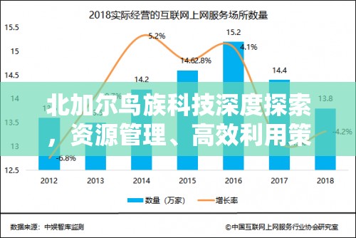 北加尔鸟族科技深度探索，资源管理、高效利用策略及避免浪费之道