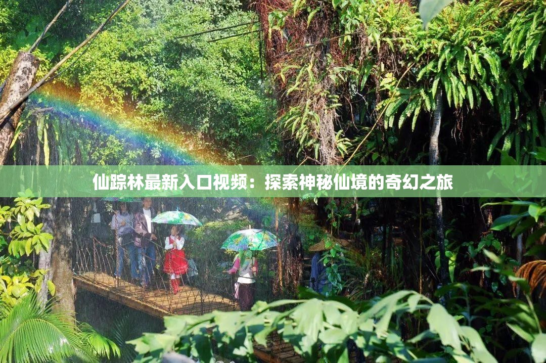 仙踪林最新入口视频：探索神秘仙境的奇幻之旅