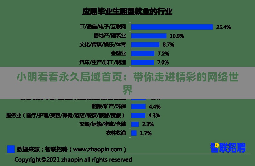 小明看看永久局域首页：带你走进精彩的网络世界