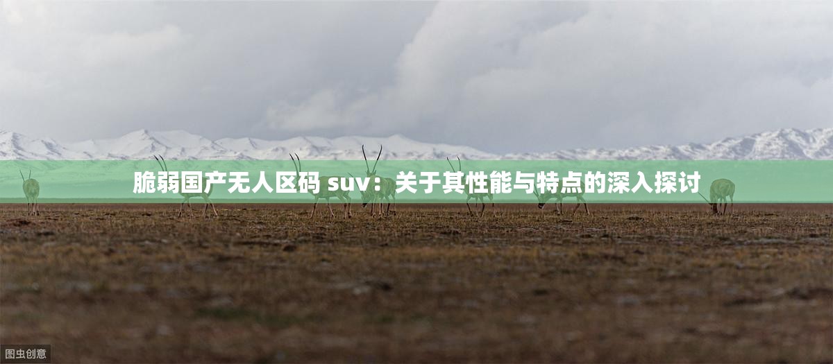 脆弱国产无人区码 suv：关于其性能与特点的深入探讨