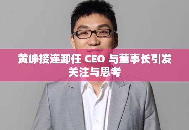 黄峥接连卸任 CEO 与董事长引发关注与思考