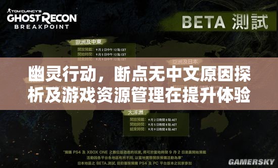 幽灵行动，断点无中文原因探析及游戏资源管理在提升体验中的重要性