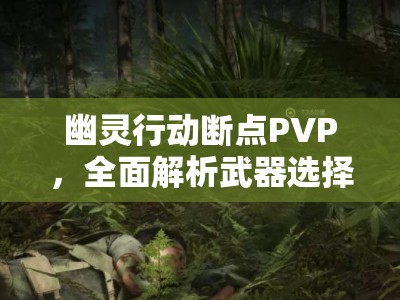 幽灵行动断点PVP，全面解析武器选择策略、技巧以实现价值最大化