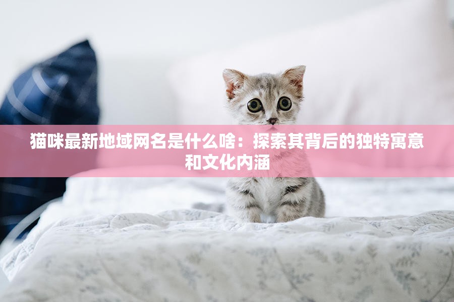 猫咪最新地域网名是什么啥：探索其背后的独特寓意和文化内涵