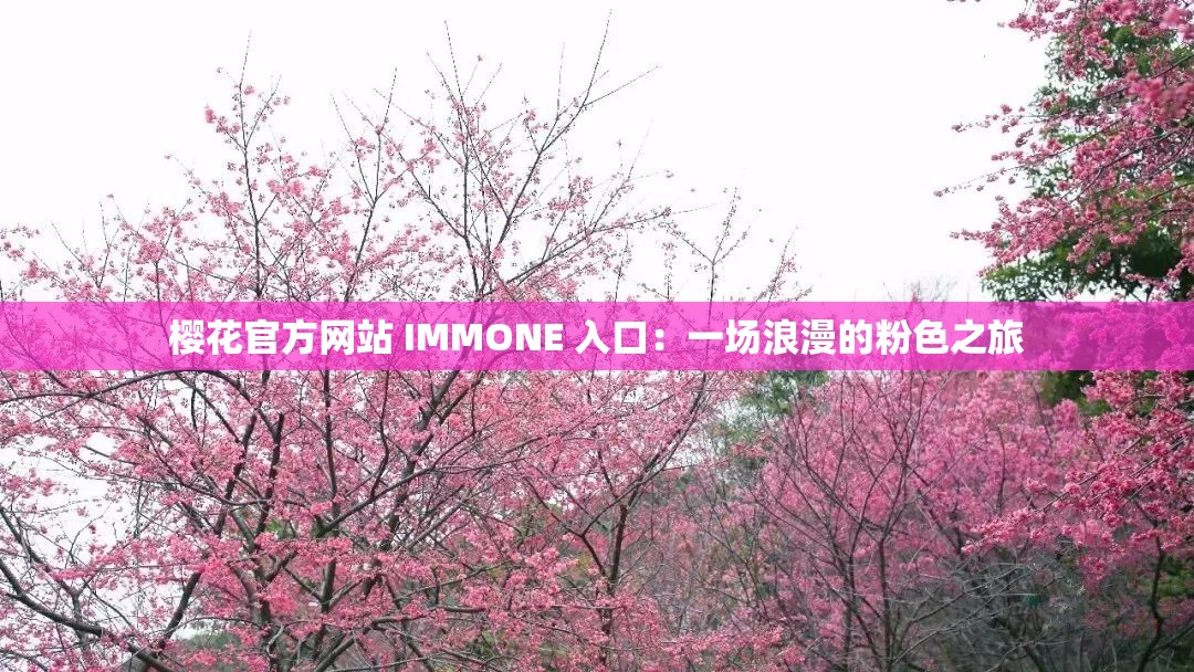 樱花官方网站 IMMONE 入口：一场浪漫的粉色之旅