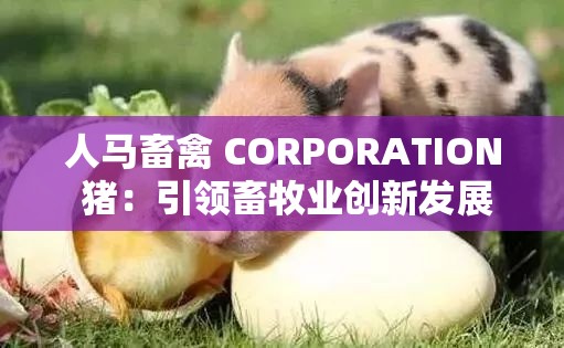 人马畜禽 CORPORATION 猪：引领畜牧业创新发展之路