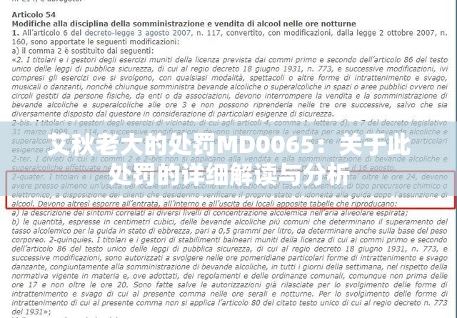 艾秋老大的处罚MD0065：关于此处罚的详细解读与分析