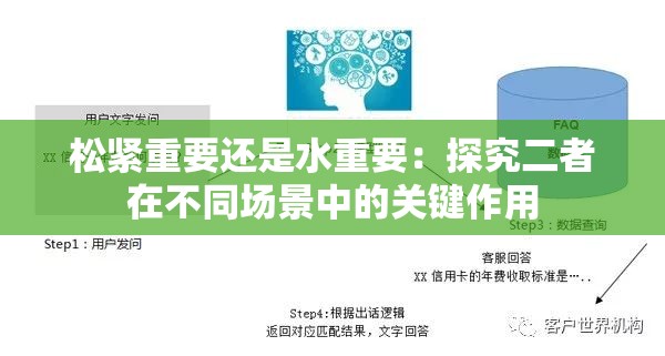 松紧重要还是水重要：探究二者在不同场景中的关键作用