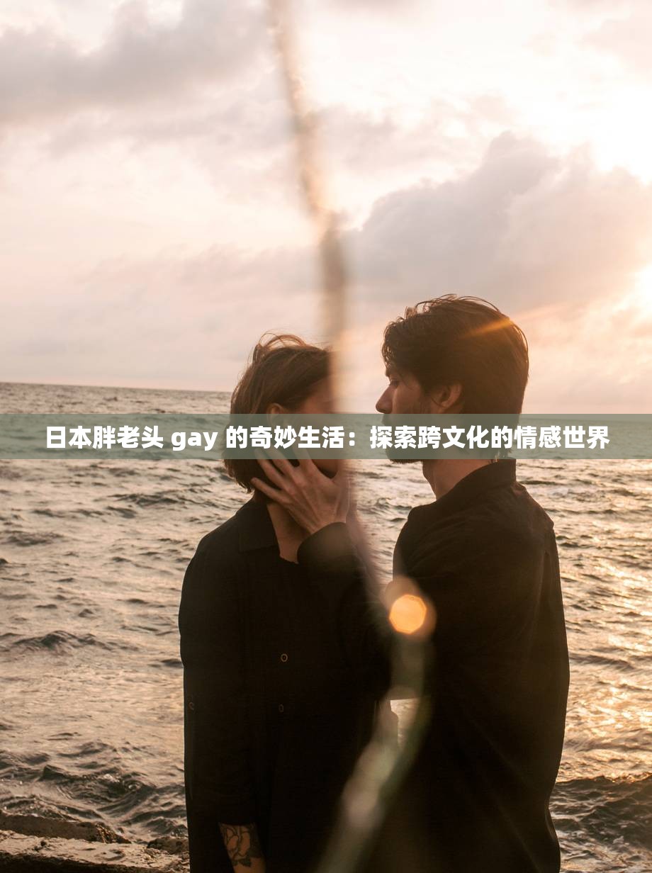 日本胖老头 gay 的奇妙生活：探索跨文化的情感世界