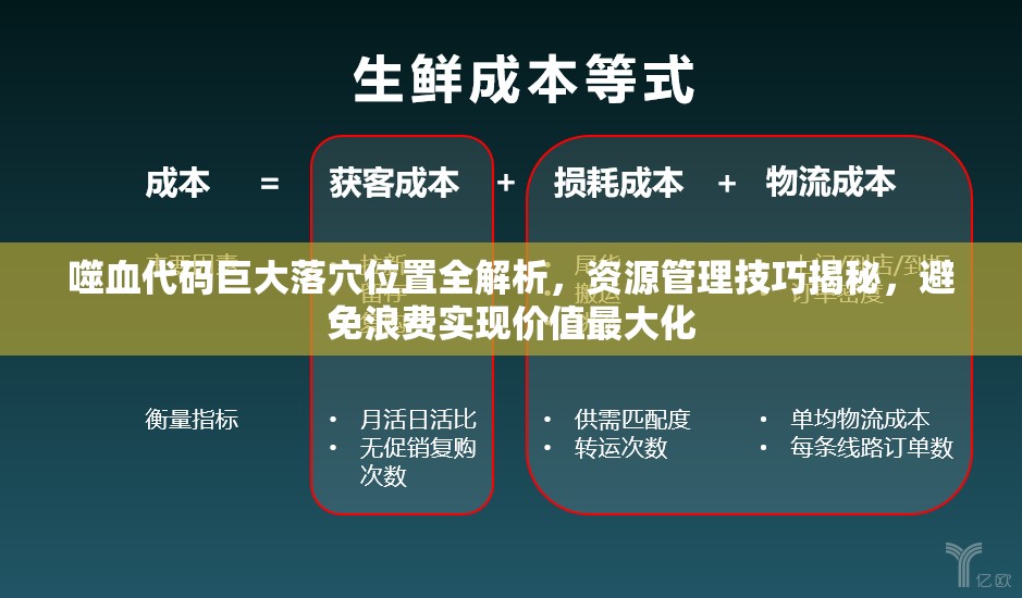 噬血代码巨大落穴位置全解析，资源管理技巧揭秘，避免浪费实现价值最大化