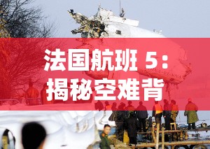 法国航班 5：揭秘空难背后的真相