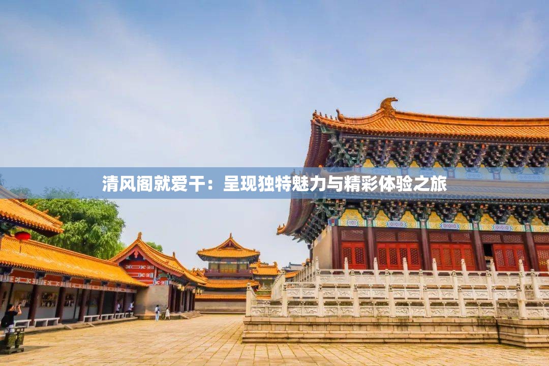 清风阁就爱干：呈现独特魅力与精彩体验之旅