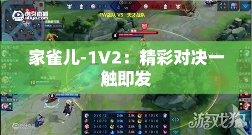 家雀儿-1V2：精彩对决一触即发