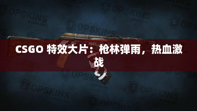 CSGO 特效大片：枪林弹雨，热血激战