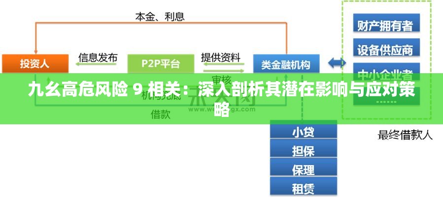 九幺高危风险 9 相关：深入剖析其潜在影响与应对策略