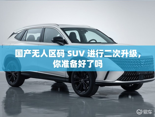 国产无人区码 SUV 进行二次升级，你准备好了吗