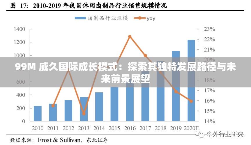 99M 威久国际成长模式：探索其独特发展路径与未来前景展望