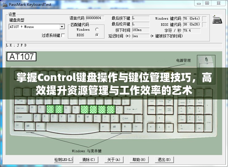 掌握Control键盘操作与键位管理技巧，高效提升资源管理与工作效率的艺术