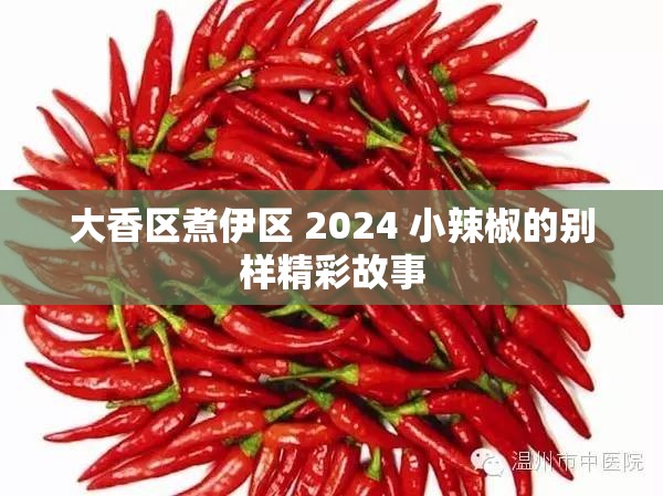 大香区煮伊区 2024 小辣椒的别样精彩故事