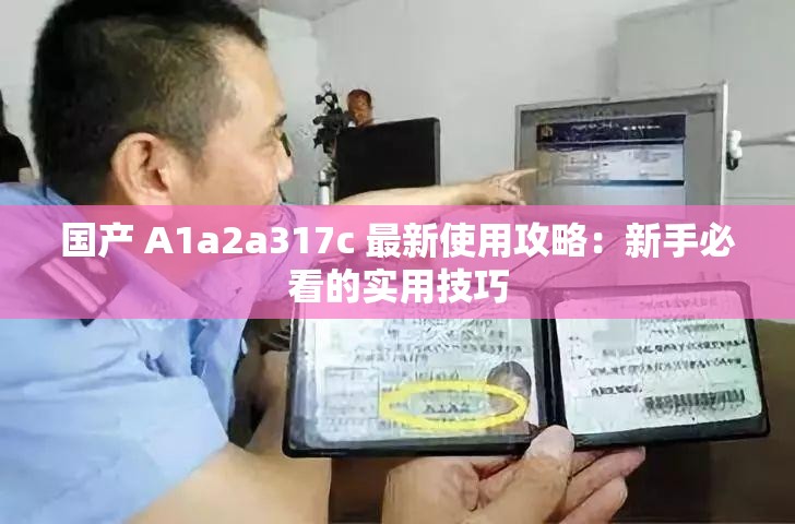 国产 A1a2a317c 最新使用攻略：新手必看的实用技巧