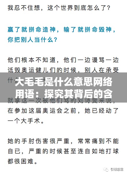 大毛毛是什么意思网络用语：探究其背后的含义与起源