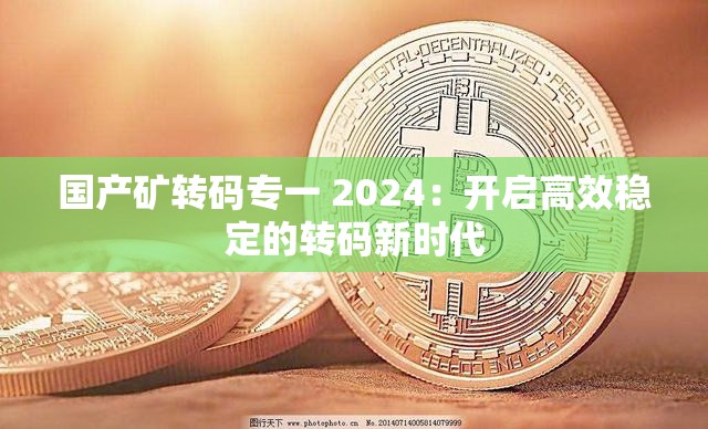 国产矿转码专一 2024：开启高效稳定的转码新时代