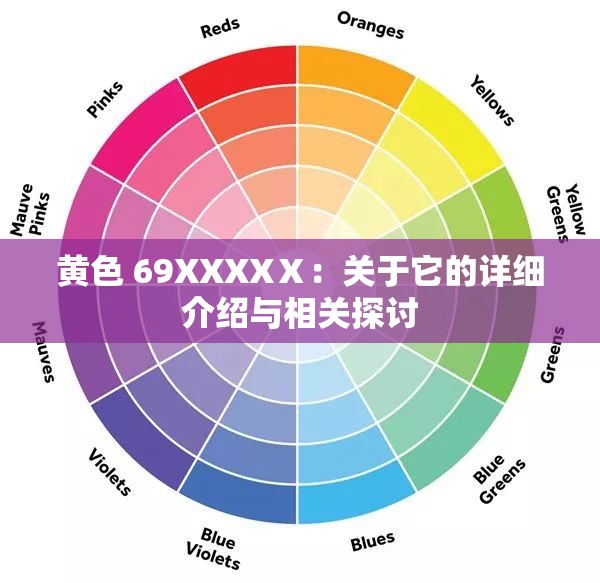 黄色 69XXXXⅩ：关于它的详细介绍与相关探讨