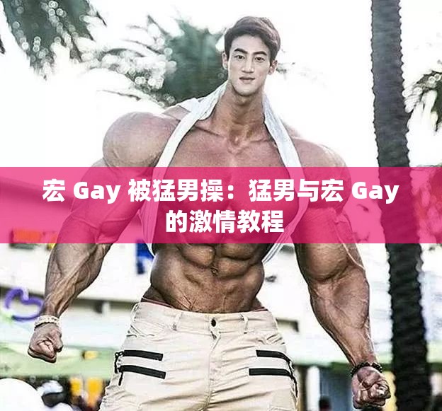 宏 Gay 被猛男操：猛男与宏 Gay 的激情教程