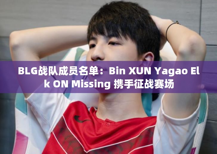 BLG战队成员名单：Bin XUN Yagao Elk ON Missing 携手征战赛场