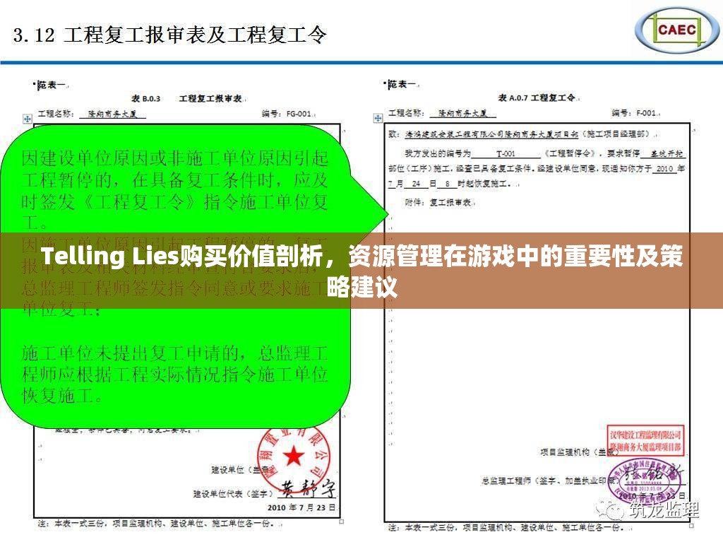 Telling Lies购买价值剖析，资源管理在游戏中的重要性及策略建议