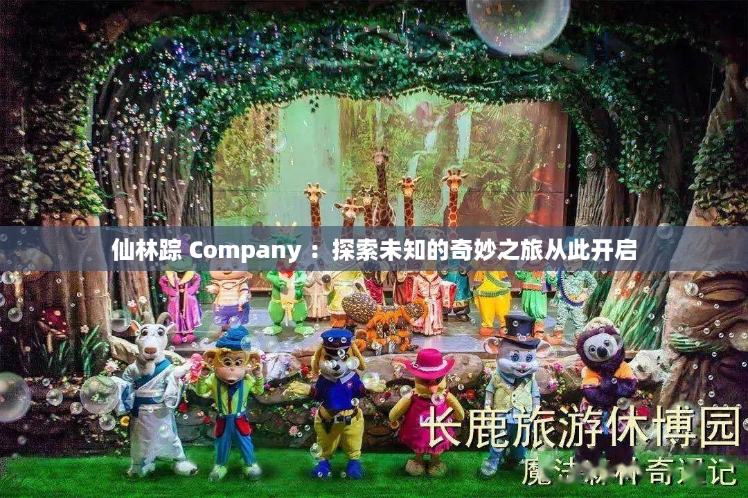 仙林踪 Company ：探索未知的奇妙之旅从此开启