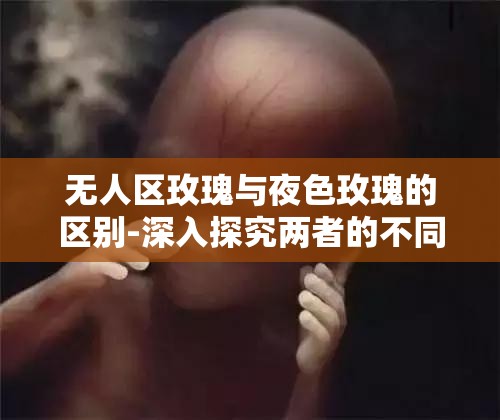 无人区玫瑰与夜色玫瑰的区别-深入探究两者的不同之处