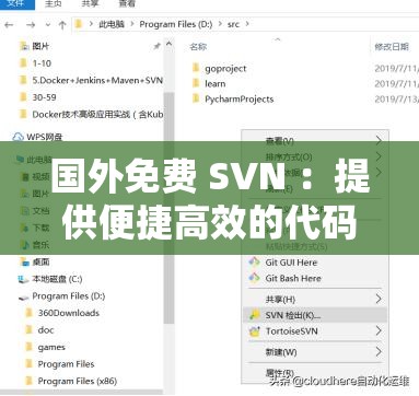 国外免费 SVN ：提供便捷高效的代码管理服务