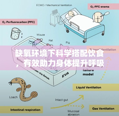 缺氧环境下科学搭配饮食，有效助力身体提升呼吸功能与耐力