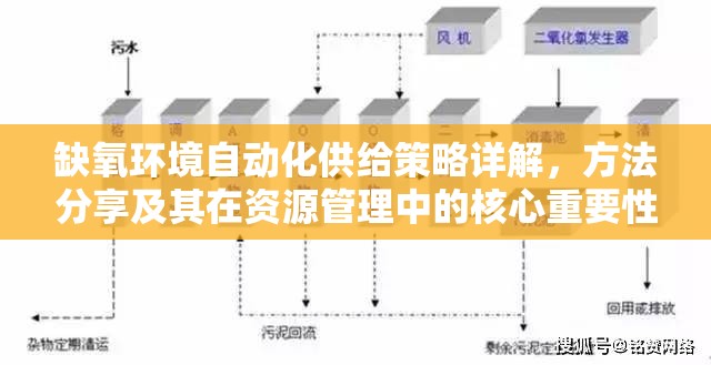 缺氧环境自动化供给策略详解，方法分享及其在资源管理中的核心重要性