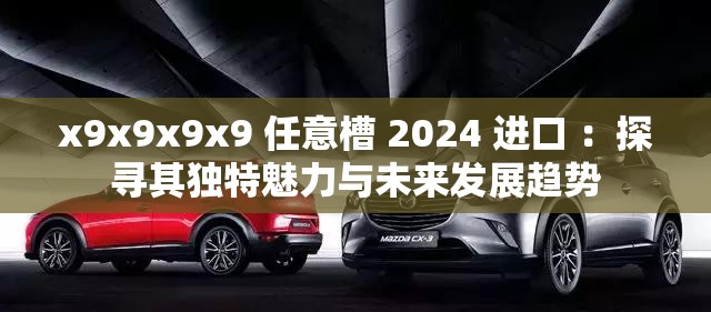 x9x9x9x9 任意槽 2024 进口 ：探寻其独特魅力与未来发展趋势