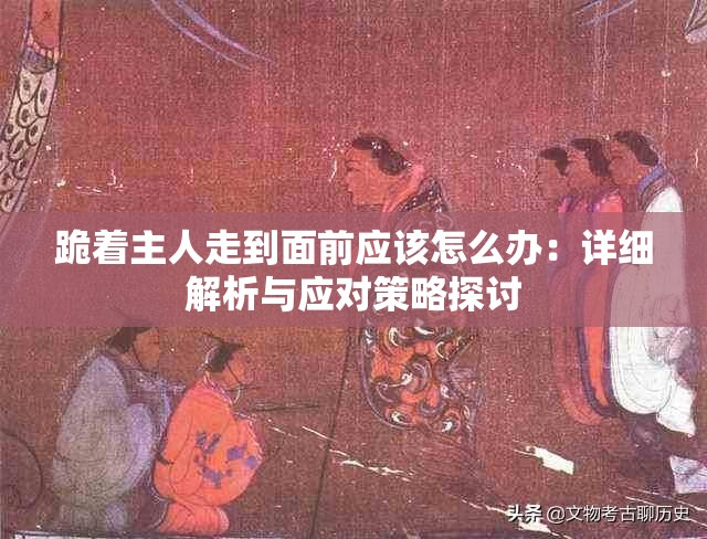 跪着主人走到面前应该怎么办：详细解析与应对策略探讨