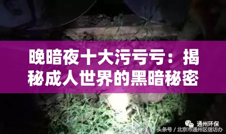 晚暗夜十大污亏亏：揭秘成人世界的黑暗秘密