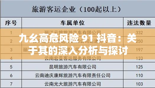 九幺高危风险 91 抖音：关于其的深入分析与探讨